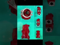 Pompes à engrenages hydrauliques en aluminium en acier inoxydable