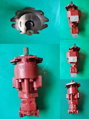 64110-33900-71 Pompes à engrenages en acier inoxydable