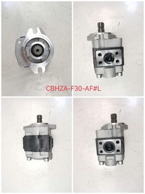 Hydraulic Vane Pump CBHZA-F30-AFΦL with 1-Year Warranty and Custom OEM Parts for Construction Machinery for for Komatsu Kawasaki