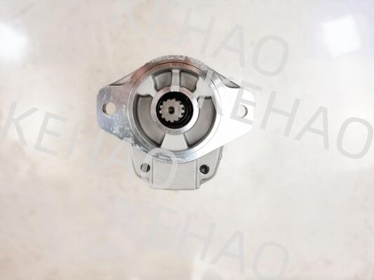 Garantie d'un an Pompe à treillis extérieur à pression moyenne et élevée D41-6E+40-28CCR 11Kw 1060 Utilisée dans les équipements de construction pour Komatsu