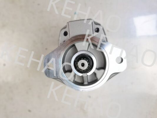 Pompe à engrenages hydrauliques de la série D41 comprenant D41-45CC ((R) D41-6E+40-28CCR D41-400C ((R) avec débit 1060lpm en acier inoxydable AISI et garantie d'un an