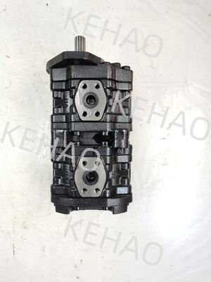 PLS pompe à engrenages PLS3035-3035SABL-V65-0002-523-40000 pompe à engrenages hydrauliques à pression moyenne et élevée en acier inoxydable