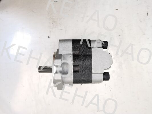 PVSD2-21 pompe à engrenages hydrauliques matériaux en alliage de fer et d'aluminium gamme pour les machines de construction fourniture d'usine pièces hydrauliques personnaliser