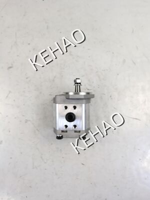 KEHAO SYT-F423-ALX13/SYT-F420-ALX13 ((F420-13T R) pompe à engrenages hydrauliques avec débit 1060lpm 11KW puissance en acier inoxydable et alliage d'aluminium 1 an de garantie