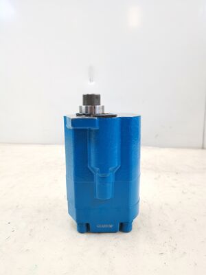 Pompes à engrenages personnalisées 31M6-50540 (AP2D25) Pompes hydrauliques en fonte à haut déplacement certifiées ISO9001 pour les machines lourdes garantie d'un an Marque KEHAO