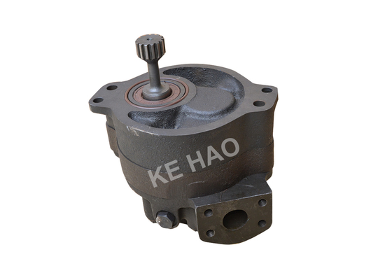 Pompe à engrenages 1 hydraulique pour la couleur de noir de tracteur de niveleuse de déchargeur garantie de 1 an