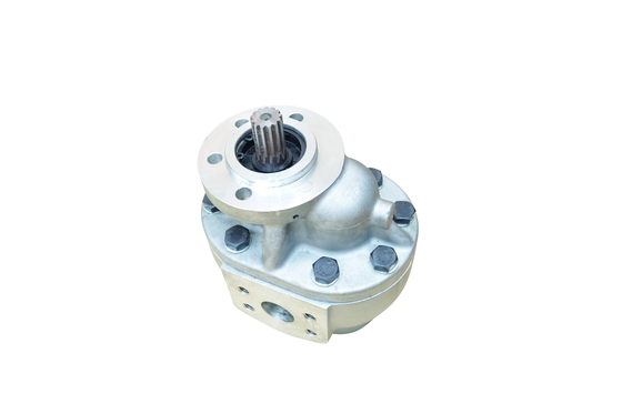 Biens adaptés aux besoins du client par taille hydrauliques de pompe à engrenages de TCM 75/de pompes à engrenages de fonte