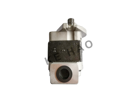 Pompe à engrenages à haute pression d'OEM, vie active hydraulique de pompes à engrenages de fonte longue