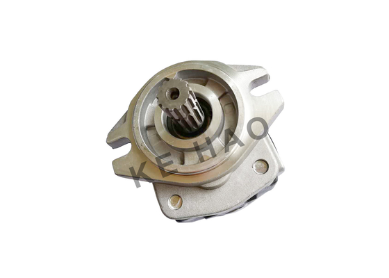 Pompe à engrenages à haute pression d'OEM, vie active hydraulique de pompes à engrenages de fonte longue