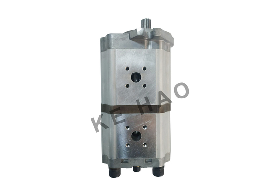 EX100-5 Double Pump Gear Pump Aluminum Alloy Material One Year Warranty
