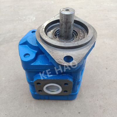 CBGJ choisissent la pompe à engrenages originale compacte bleue principale plate de couverture de losange de pompe pour machiner les machines et le véhicule