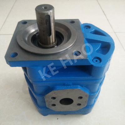 CBGJ choisissent la pompe à engrenages originale compacte bleue principale plate de couverture de losange de pompe pour machiner les machines et le véhicule