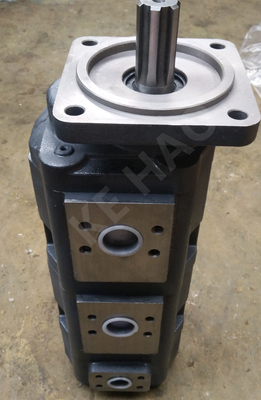 JHP triplent la pompe à engrenages originale de contrat de noir de cannelure de couverture de place de pompe pour machiner les machines et le véhicule