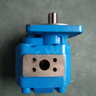 Pompe de pompes hydrauliques de vitesse hydraulique d'OEM/à engrenages de fonte haute précision