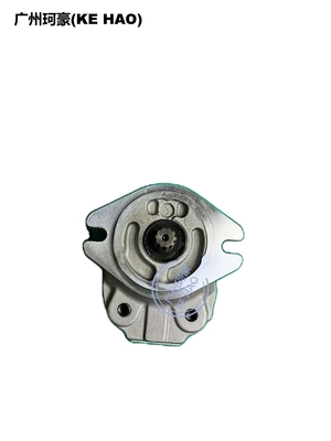 Assemblée de pompe de la norme 705-22-26260 D41E D41P