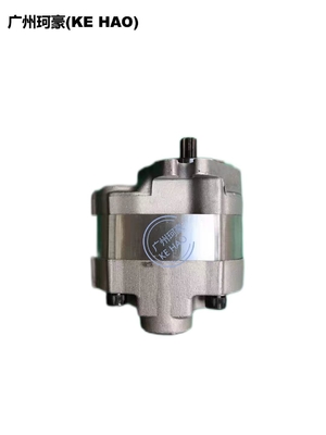 Assemblée de pompe de la norme 705-22-26260 D41E D41P