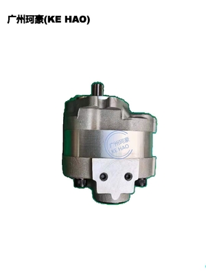 Assemblée de pompe de la norme 705-22-26260 D41E D41P