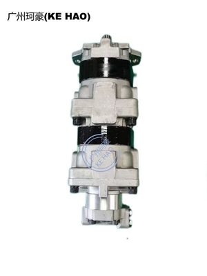 705-55-34560 pompe à engrenages hydraulique du chariot élévateur FD250