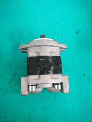 Pompe à engrenages SGP1A-25-AFΦ9 hydraulique 175-13-23500 D135A D155A