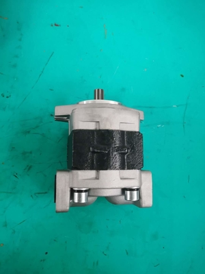 Pompe à engrenages SGP1A-25-AFΦ9 hydraulique 175-13-23500 D135A D155A